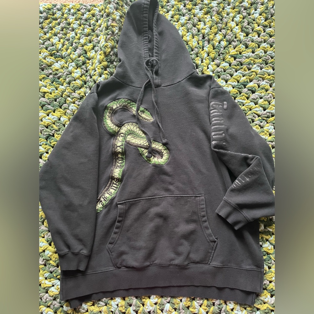 Taylor Swift Black Hoodie with Green Snake Graphic